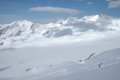 Skihochtour mit Bergfuehrer Berneralpen Schweiz.